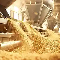খাদ্য প্ৰক্ৰিয়াকৰণ উদ্যোগ